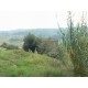 Properties for Sale_Farmhouse Il Mandorlo in Le Marche_11